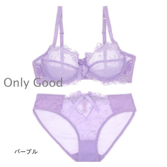 ブラ＆ショーツセット 美胸 ランジェリー ブラジャー 透ける美しい下着