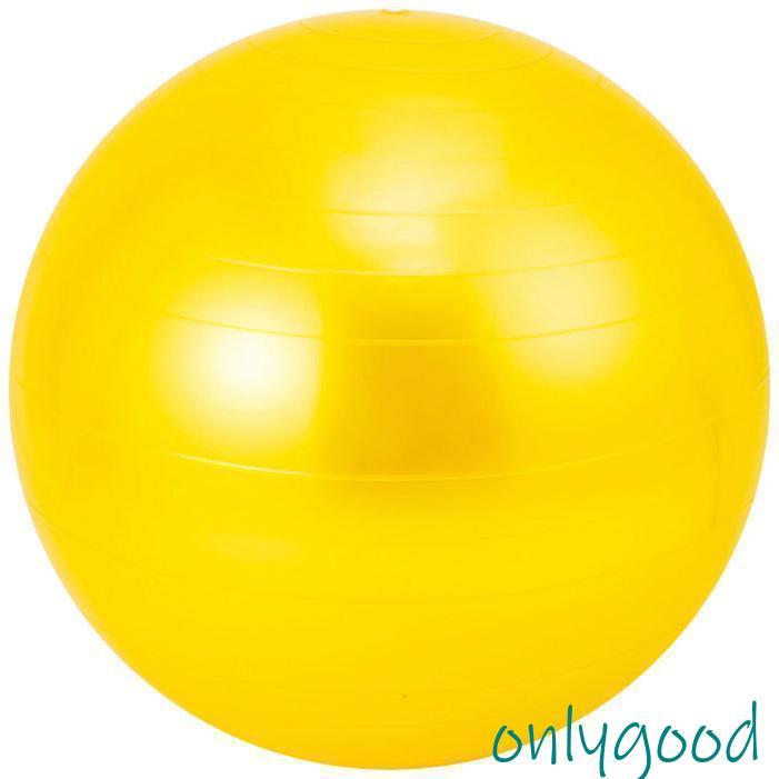 バランスボール 55cm 65cm 75cm フットポンプ付き 空気入れ 耐荷重