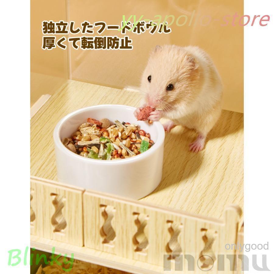 ハムスター ケージ 全面クリア 全透明 大型サイズ 飼育ケージ 透明