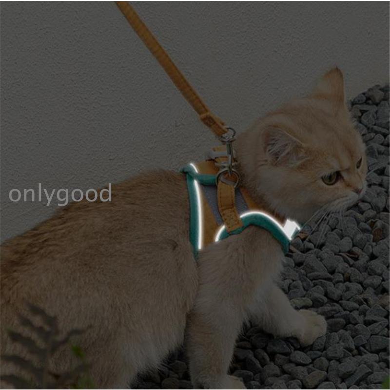 犬 猫 ハーネス リード 胴輪 首輪 2点セット 脱げない 犬用 猫用 通気