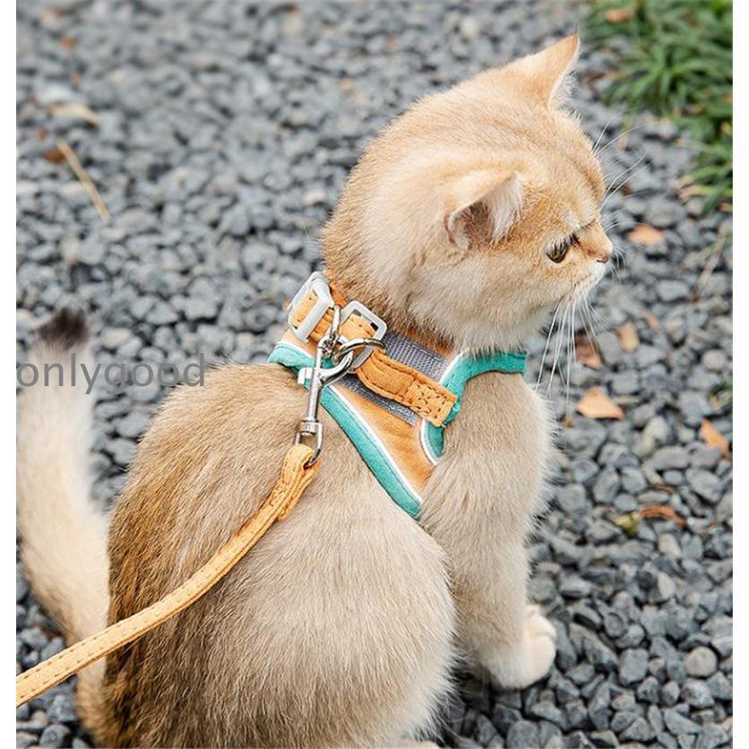 犬 猫 ハーネス リード 胴輪 首輪 2点セット 脱げない 犬用 猫用 通気