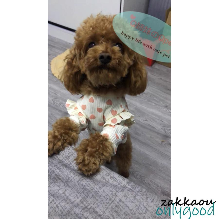 犬服 Tシャツ カットソー シャツ 小型犬 フリル付き ハート柄 トップス