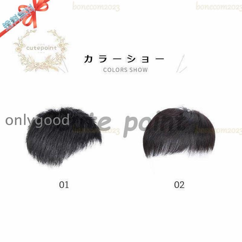 かつら メンズ ウィッグ 自然 セルフ増毛 人毛 部分ウィッグ 男性 薄毛対策 カツラ ショート エクステの画像