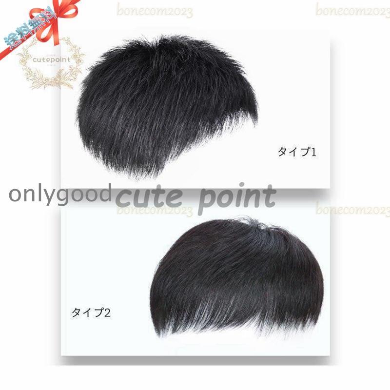 かつら メンズ ウィッグ 自然 セルフ増毛 人毛 部分ウィッグ 男性 薄毛対策 カツラ ショート エクステの画像
