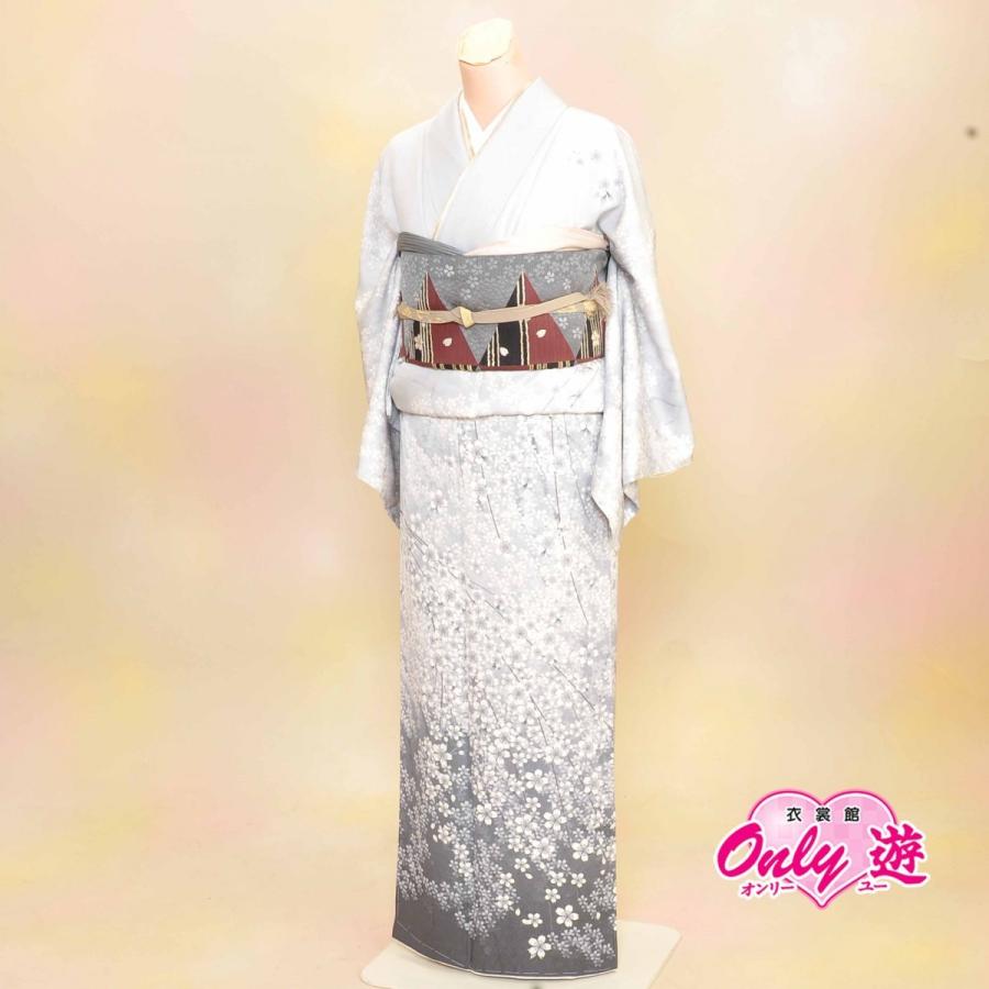 【訪問着セット】レディース/30-119BN/35-206NK/Lサイズ/結婚式/入学式/卒業式/レンタル/訪問着/フォーマル/グレー/京友禅/正絹/着物レンタル