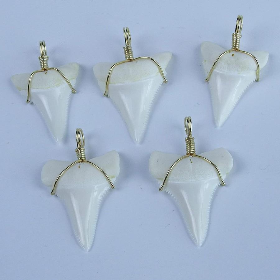 Gemshark 本物のサメの歯ネックレス メガロドン 14kゴールド グレートホワイトシャーク ヒップホップ ブラックコードチェーン Gold Gw B079n8p5p6 Only You One Shop 通販 Yahoo ショッピング