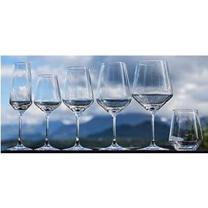 Rastal ハーモニー ワイングラス 6個セット Red Wine 