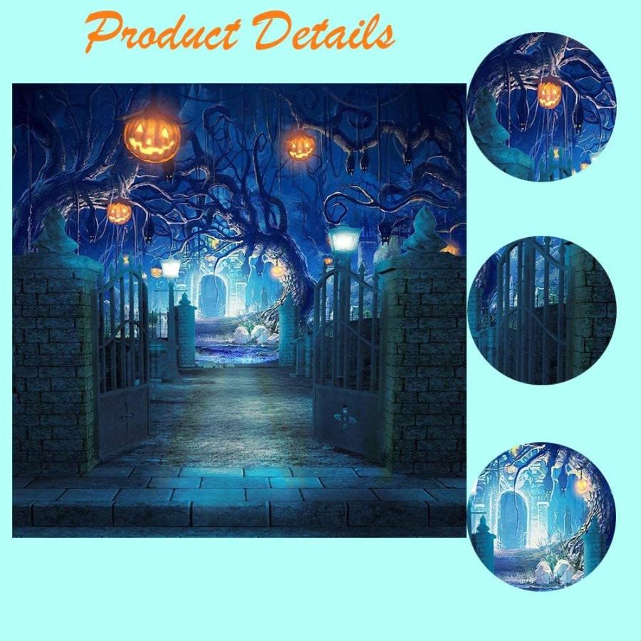 超安い品質 Ouyida 10x10フィート ハロウィーンテーマ 写真撮影用背景幕 スタジオ小道具 Tp263c ドリル ドライバー レンチセット qhema Com