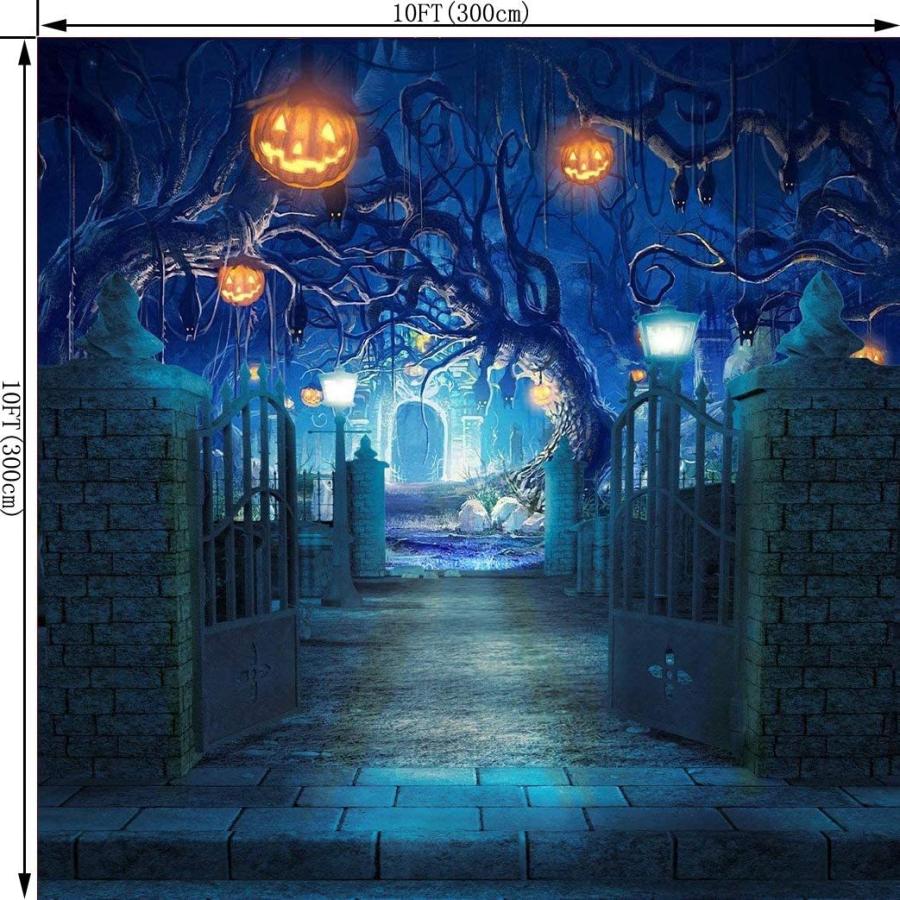 超安い品質 Ouyida 10x10フィート ハロウィーンテーマ 写真撮影用背景幕 スタジオ小道具 Tp263c ドリル ドライバー レンチセット qhema Com