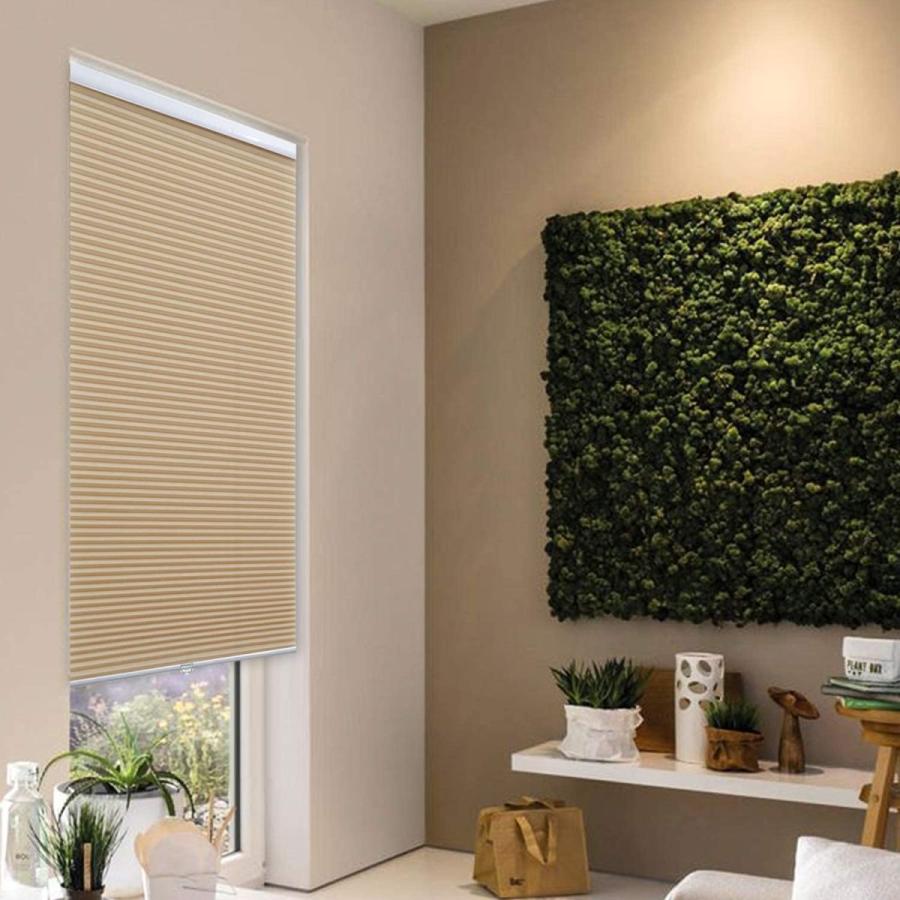 期間限定キャンペーン シングルセル ハニカムブラインド セルラー Allesin プリーツシェード X 46 窓用 内側と外側に取り付け 部屋を暗く 簡単リフト コードレス オブジェ 置き物 qhema Com