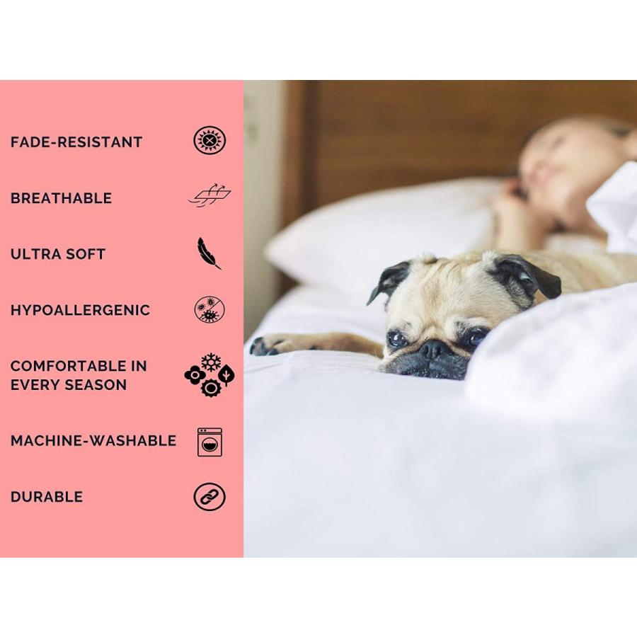 Kotton Culture プレミアム羽毛布団カバー100%エジプト綿 600スレッドカウント ジッパー&コーナータイ付き 豪華(特大キング、ライト 600スレッドカウント