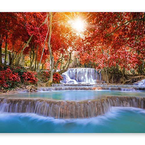 アルティギスト - C-B-0132-A-A 250x175 cm / 98%ダブルクォーテ%x69%ダブルクォーテ% us-c-B-0120