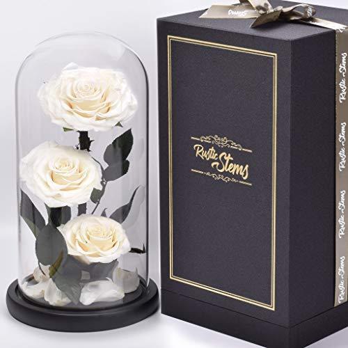 Usaオンラインショップ Rustic Stems ラグジュアリー プリザーブドローズ ガラスドーム 永遠の花 永遠の美女と野獣 無限の愛 ハンドメイド ギフト 母 女性 妻 卸売価格 Solutions Mandros Net