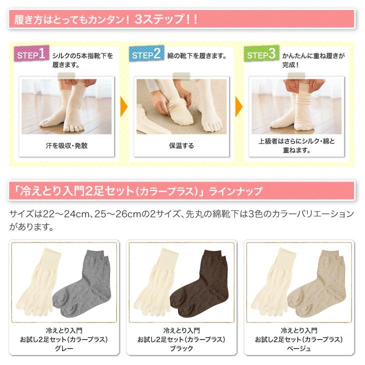山忠 5本指靴下 冷えとり入門お試し2足セット カラープラス（25-26cm