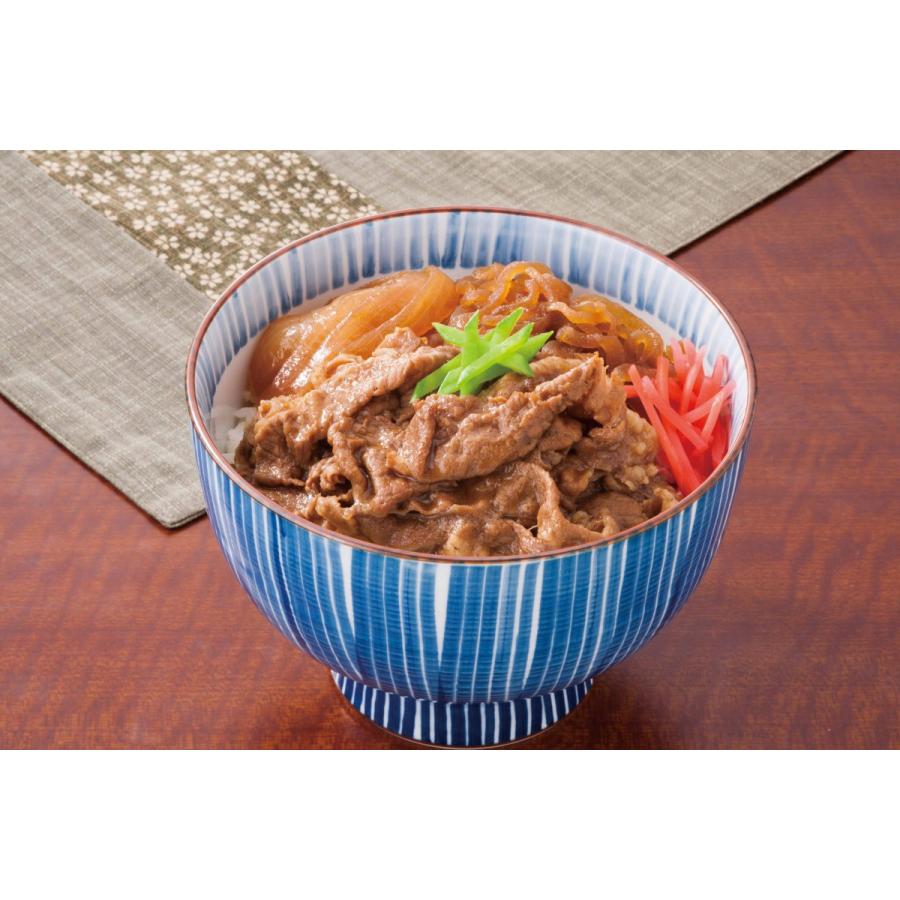 日東ベスト JG新牛丼の素 150g×5食入 クール便商品 : 食とお酒の専門