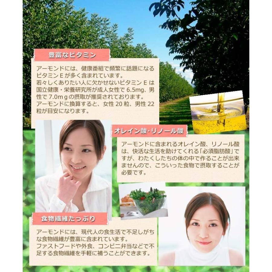 ナッツ アーモンド 素焼き 10kg 粉砕チップ ほぼ粉末(粉〜小片)不揃い 無添加 10kg×1袋 訳あり ナッツ 送料無料_12