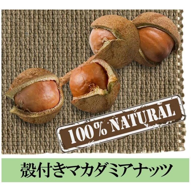 ナッツ マカダミアナッツ 殻付き 2kg(1kg×2袋) 送料無料 ロースト