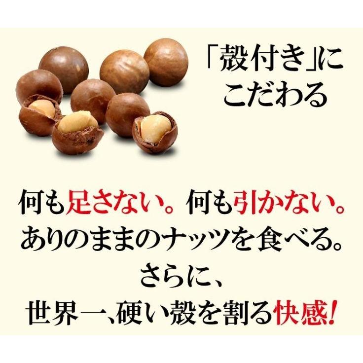 ナッツ マカダミアナッツ 殻付き 2kg(1kg×2袋) 送料無料 ロースト