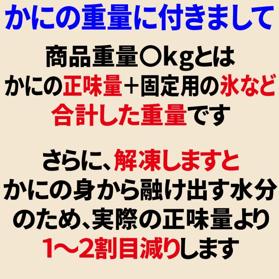 (カニ かに 蟹) ボイル 北海道産 特大３L・2L 国産 紅ズワイ カニ爪肉《約500g（正味350g）×1パック》  送料無料の画像