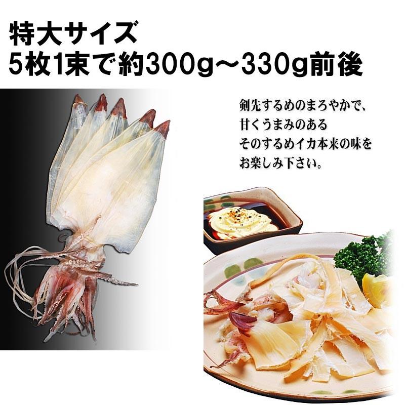 《クーポンで半額！》剣先するめイカ 特大(3L)サイズ 5枚1束 (約300〜330g前後) 送料無料 ギフト 約300 330g前後