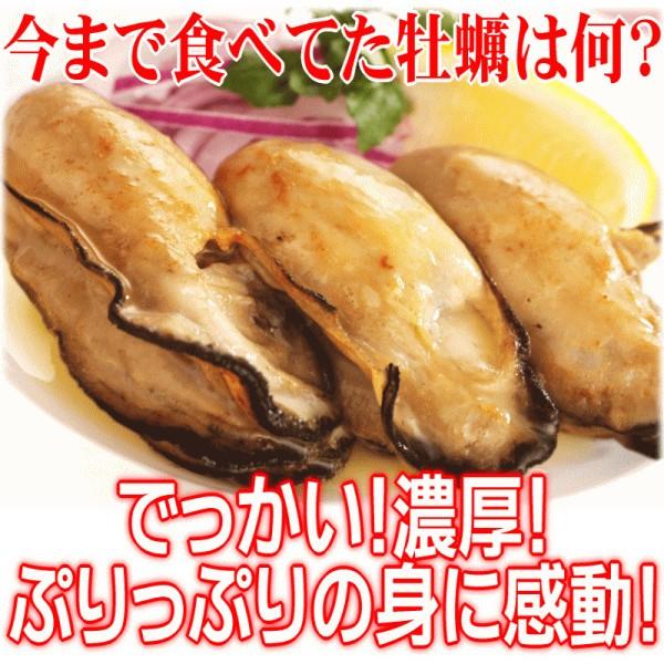 ギフト 牡蠣 かき 2L 1kg(正味850g) 広島県産 (特産品 名物商品) (かき カキ 牡蠣)セール 広島カキ 送料無料｜onomichi-marukin｜03