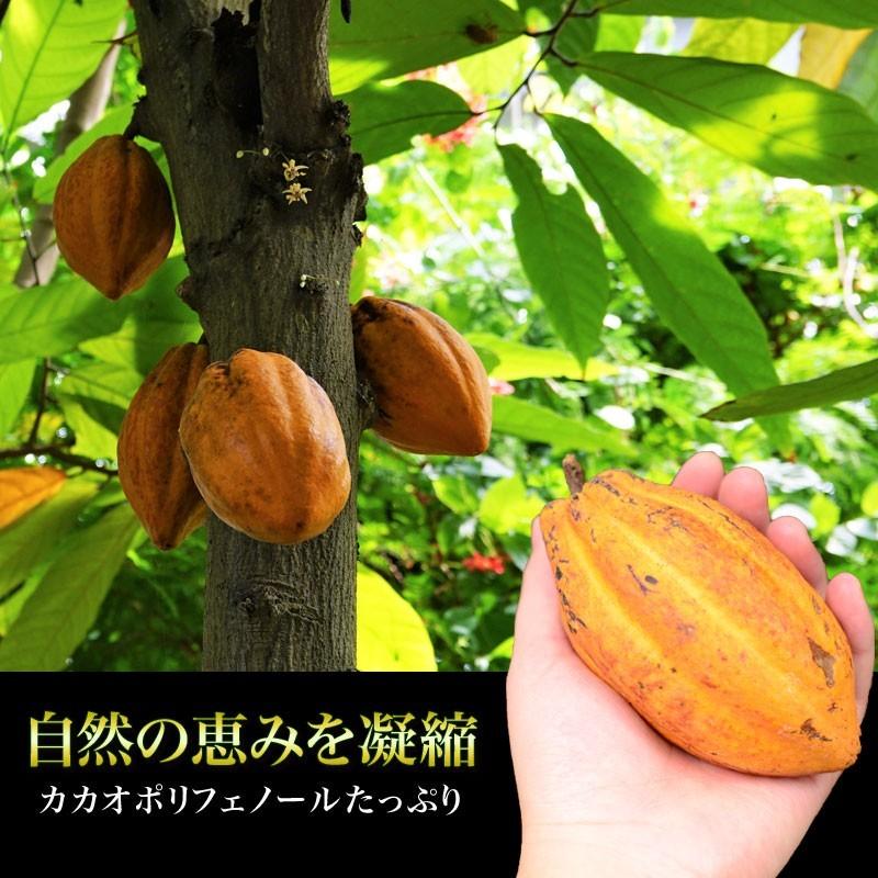 ココアパウダー 無糖 ピュアココア パウダー 純ココア 10kg(1kg×10袋