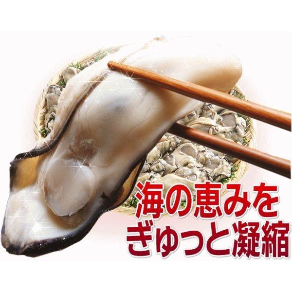 海鮮 牡蠣 かき 広島県産 (特産品 名物商品) 冷凍牡蠣 (かき カキ) 特大 2L 1kg(正味850g)×10袋(加熱用) 計10ｋg かき鍋 送料無料｜onomichi-marukin｜07