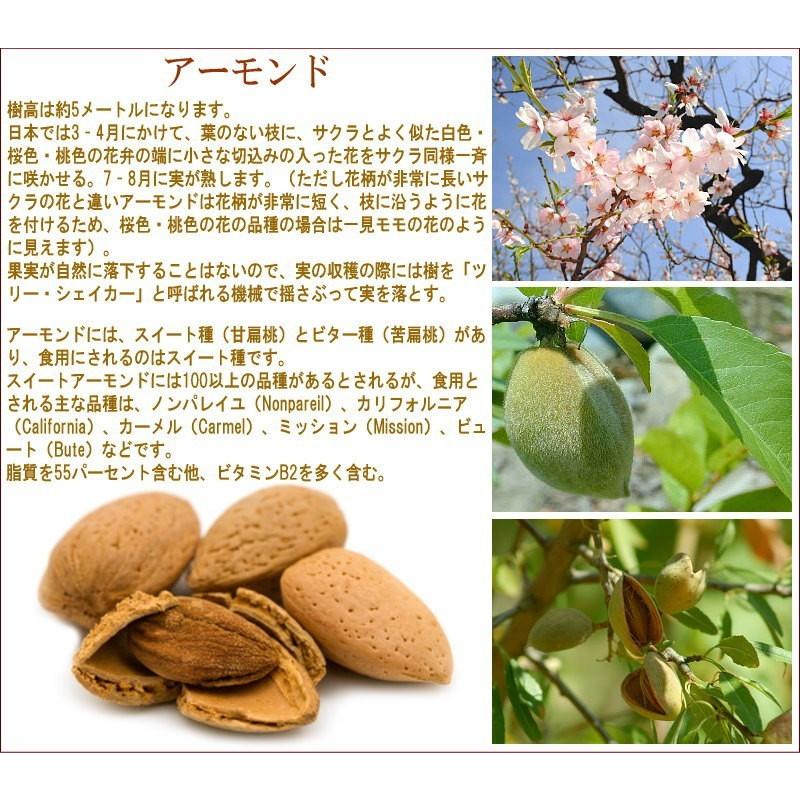 ナッツ グルメ訳あり アーモンド 無添加 素焼き (ビュート種または