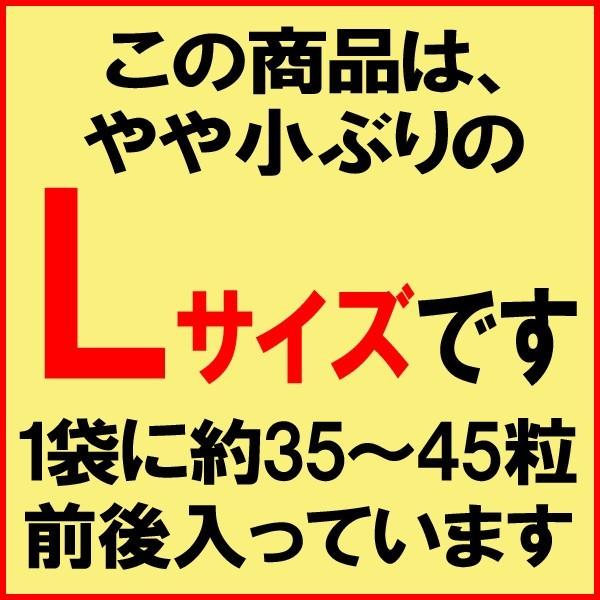 牡蠣 かき 広島県産 広島カキ1kg(正味850g)×1袋 Lサイズ 広島産 鍋 ※送料1300円です｜onomichi-marukin｜04