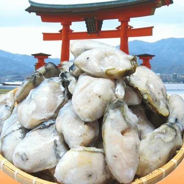 ギフト 牡蠣 かき 広島県産 広島カキ1kg(正味850g)×1袋 Lサイズ 広島産 鍋 ※送料1300円です｜onomichi-marukin｜06