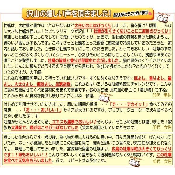 カキ 牡蠣 かき L 1kg 広島県産 #元気いただきますプロジェクト（水産物）広島カキ 1kg(正味850g)×1袋 広島産 Lサイズ 送料無料 (特産品 名物商品) 鍋｜onomichi-marukin｜09