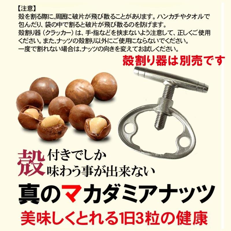 ナッツ マカダミアナッツ 殻付き 1kg マカダミア 無添加・無塩 送料