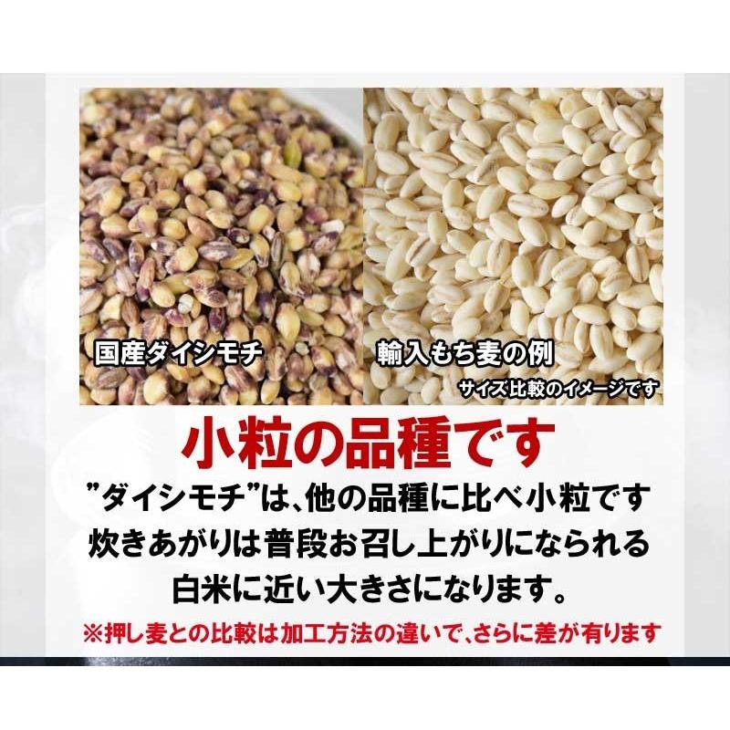 もち麦 国産 グルメセール もちむぎ(ダイシモチ) 900g レジスタントスターチ βグルカン わけあり 訳あり 送料無料｜onomichi-marukin｜13