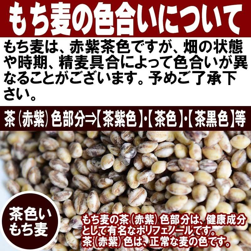 雑穀 米 もち麦 国産 グルメセール もちむぎ(ダイシモチ) 900g