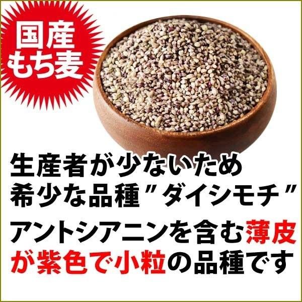 雑穀 米 もち麦 国産 グルメセール もちむぎ(ダイシモチ) 900g