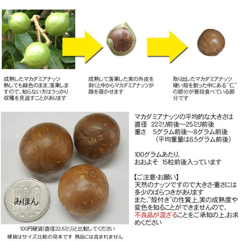 ナッツ マカダミアナッツ 殻付き 2kg(1kg×2袋) マカダミア 無添加・無