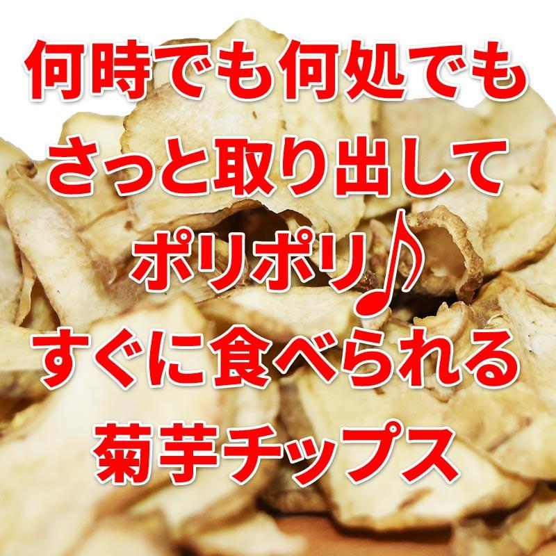 菊芋 きくいも チップス イヌリン キクイモ 国産 50g×2袋 無添加 送料 