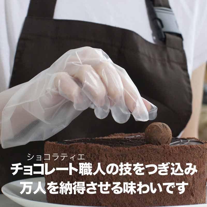 カット チョコミルク 300g 割れチョコ メール便限定 送料無料 硬い 製菓材料｜onomichi-marukin｜02