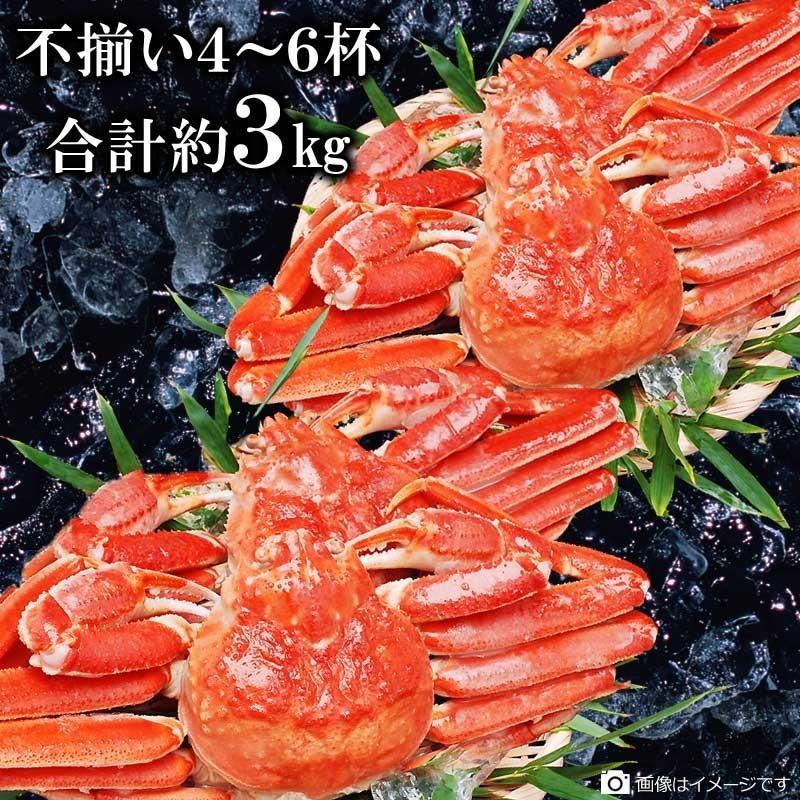 父の日 お中元 ギフト 海鮮 ボイル ズワイガニ カナダ産 姿 かに かにみそ 3kg セール 不揃い 業務用 3~5人前 カニ 送料無料 グルメ 蟹 ズワイ 5尾 セット 父の日 お中元 ギフト 海鮮 ボイル ズワイガニ カナダ産 姿 かに かにみそ 3kg セール 不揃い 業務用 3~5人前 カニ 送料無料 グルメ 蟹 ズワイ 5尾 セット