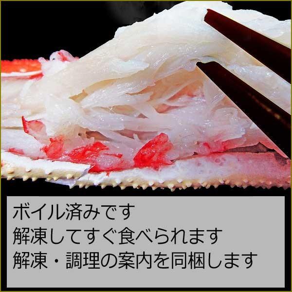 爆買 ギフト カニ かに 蟹 グルメ ズワイガニ ５Lサイズ3kg(解凍前正味2.4kg)(約7〜9肩前後入) セール 送料無料 ポイント利用