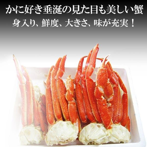 爆買 ギフト カニ かに 蟹 グルメ ズワイガニ ５Lサイズ3kg(解凍前正味2.4kg)(約7〜9肩前後入) セール 送料無料 ポイント利用