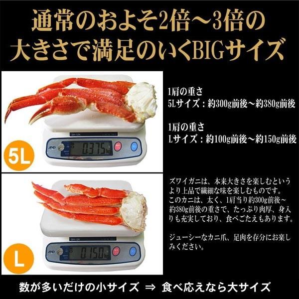 爆買 ギフト カニ かに 蟹 グルメ ズワイガニ ５Lサイズ3kg(解凍前正味2.4kg)(約7〜9肩前後入) セール 送料無料 ポイント利用