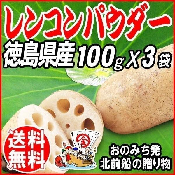 お試し れんこんパウダー レンコン粉末 パウダー 国産 徳島県産 100g×3袋 メーカー在庫限り品 人気の製品 送料無料 無添加