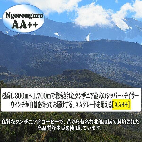 新作登場， 品質保証 MARUKIN 珈琲 キリマンジャロ AA++ タンザニア 200g×３袋 コーヒー豆 メール便限定 送料無料