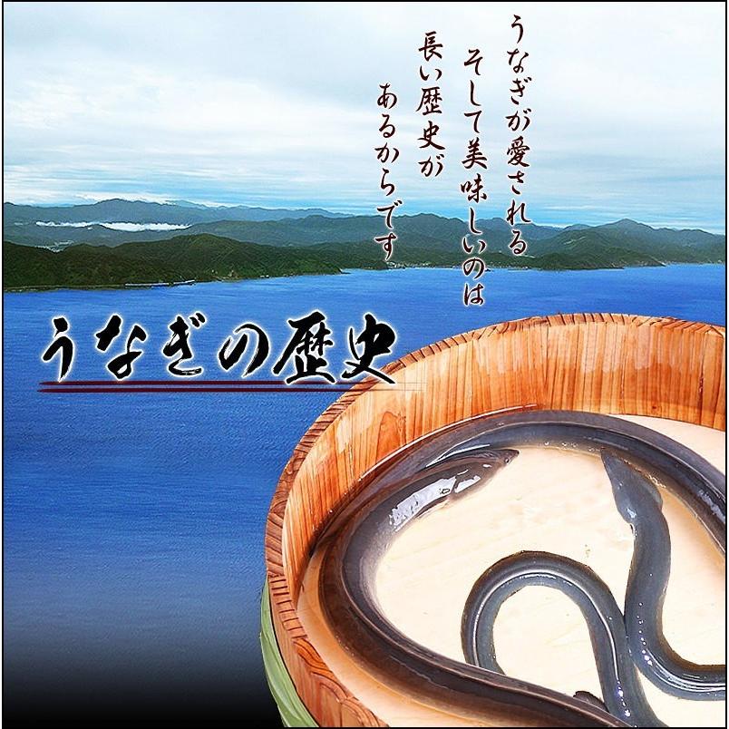 ギフト うなぎ 蒲焼き 国産 鰻 うなぎ蒲焼き 九州産 3尾 特大(約230〜250g前後×3尾) 送料無料｜onomichi-marukin｜03