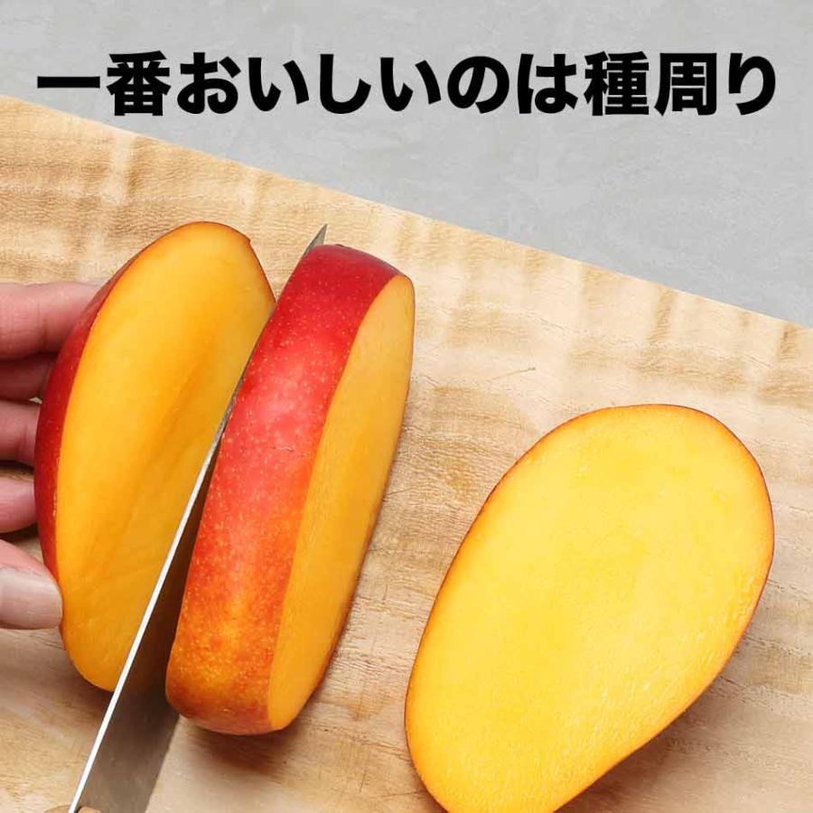 爆買 マンゴー ドライマンゴー 種周り 細切りスライス 400g× 1袋