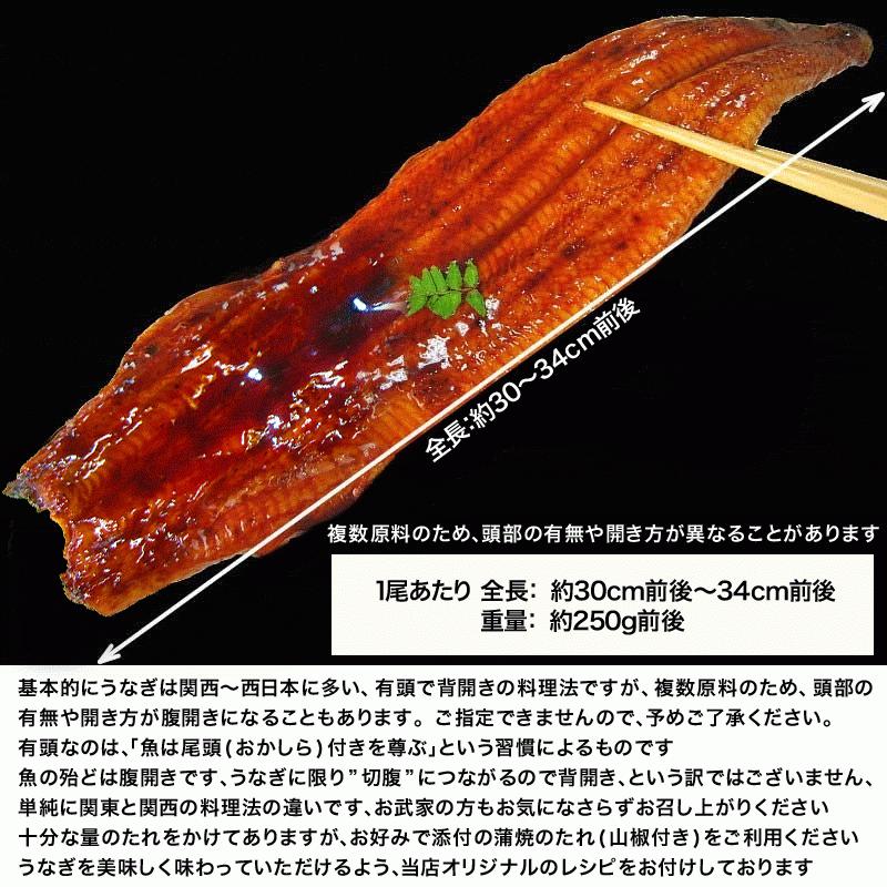 ギフト うなぎ 蒲焼き 国産 鰻 うなぎ蒲焼 セール 九州産 4尾 特大(約250g前後×4尾)60代 70代 80代 宮崎・鹿児島県産｜onomichi-marukin｜04