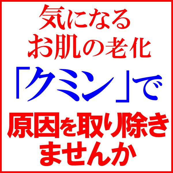 クミン パウダー 500g×1袋 ポイント利用 セール 送料無料 |  | 01