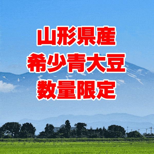 秘伝豆 山形県産 TVで紹介 秘伝豆 500g 国産 青大豆 送料無料 大豆 希少品種 イソフラボン メール便限定⇒送料0円 :500haod-11013:北前船の贈り物 - 通販 - Yahoo!ショッピング 秘伝豆 山形県産 TVで紹介 秘伝豆 500g 国産 青大豆 送料無料 大豆 希少品種 イソフラボン メール便限定⇒送料0円 :500haod-11013:北前船の贈り物 - 通販 - Yahoo!ショッピング