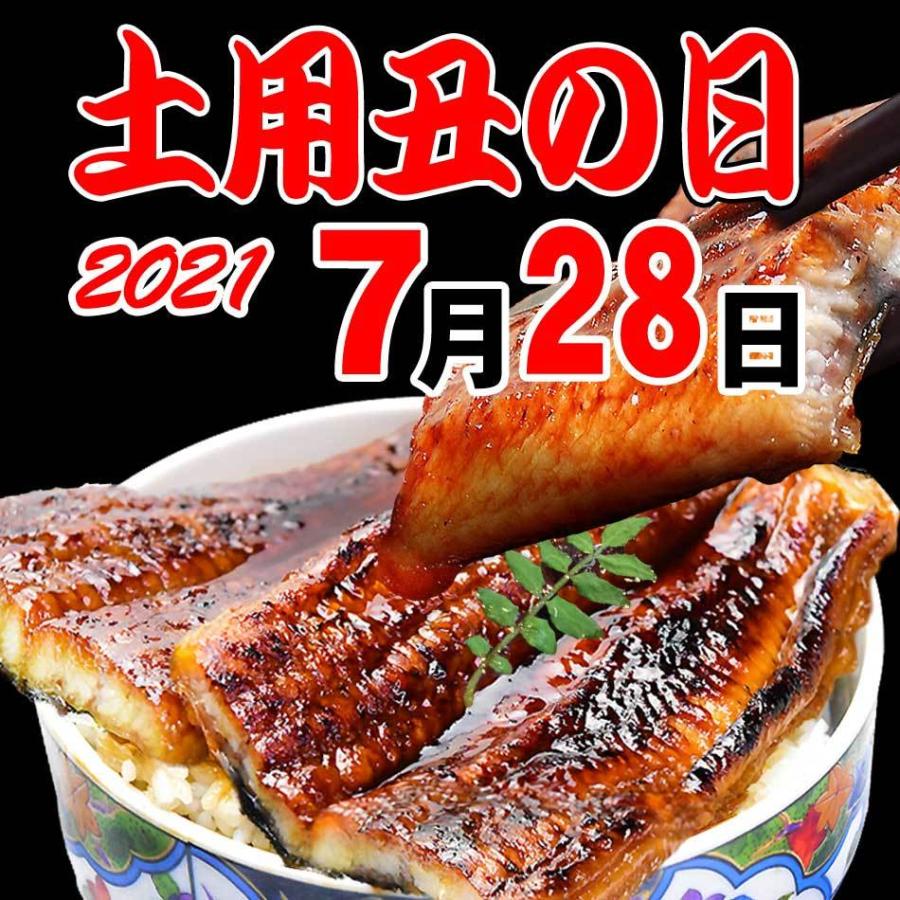 うなぎ ギフト 国産 セール うなぎ蒲焼き うなぎ 鰻 ウナギ 鰻 蒲焼き 特大 約180 0g前後 5尾 国内産 セール 5尾 宮崎 鹿児島県産 送料無料 北前船の贈り物 通販